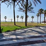 Paloma Málaga