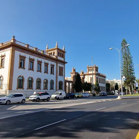 Paloma * Málaga